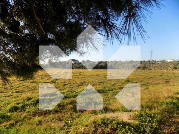 Terreno en Ptda. Pla, 23 photo 2