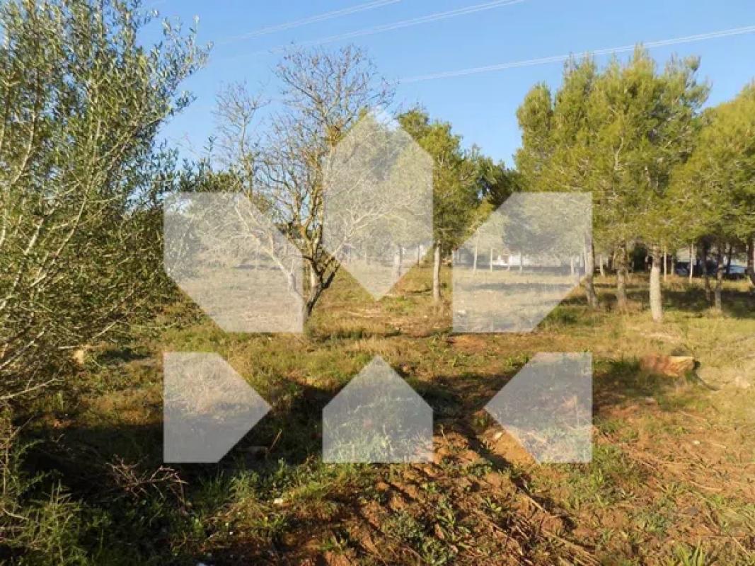 Terreno en venta en Teulada, Alicante photo 4