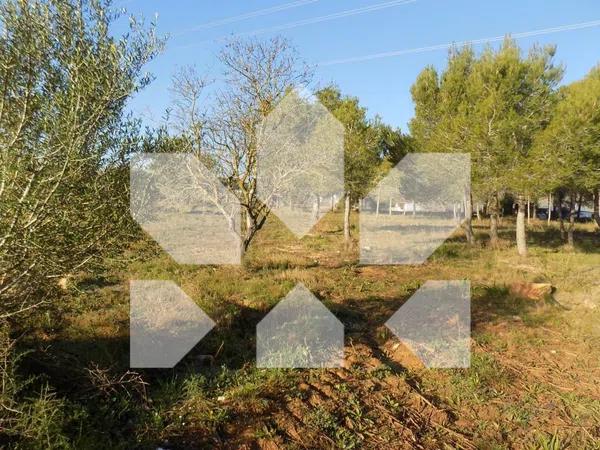 Terreno en Ptda. Pla, 23 photo 4