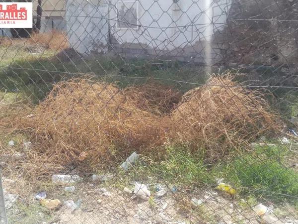 Terreno en Orihuela Ciudad photo 4