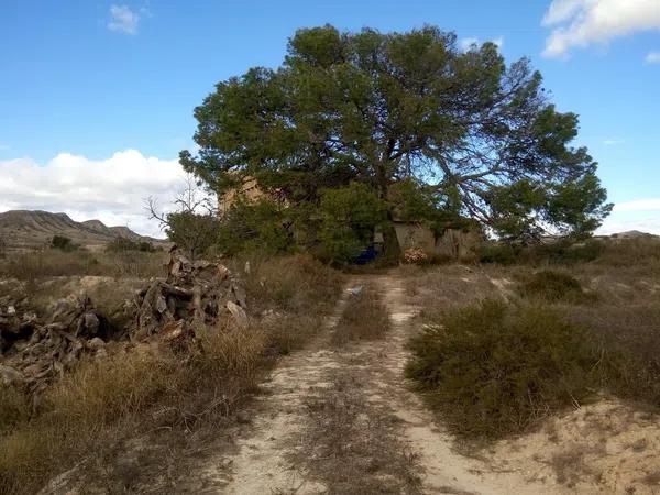 Terreno en Partida Vallongas s/n photo 1
