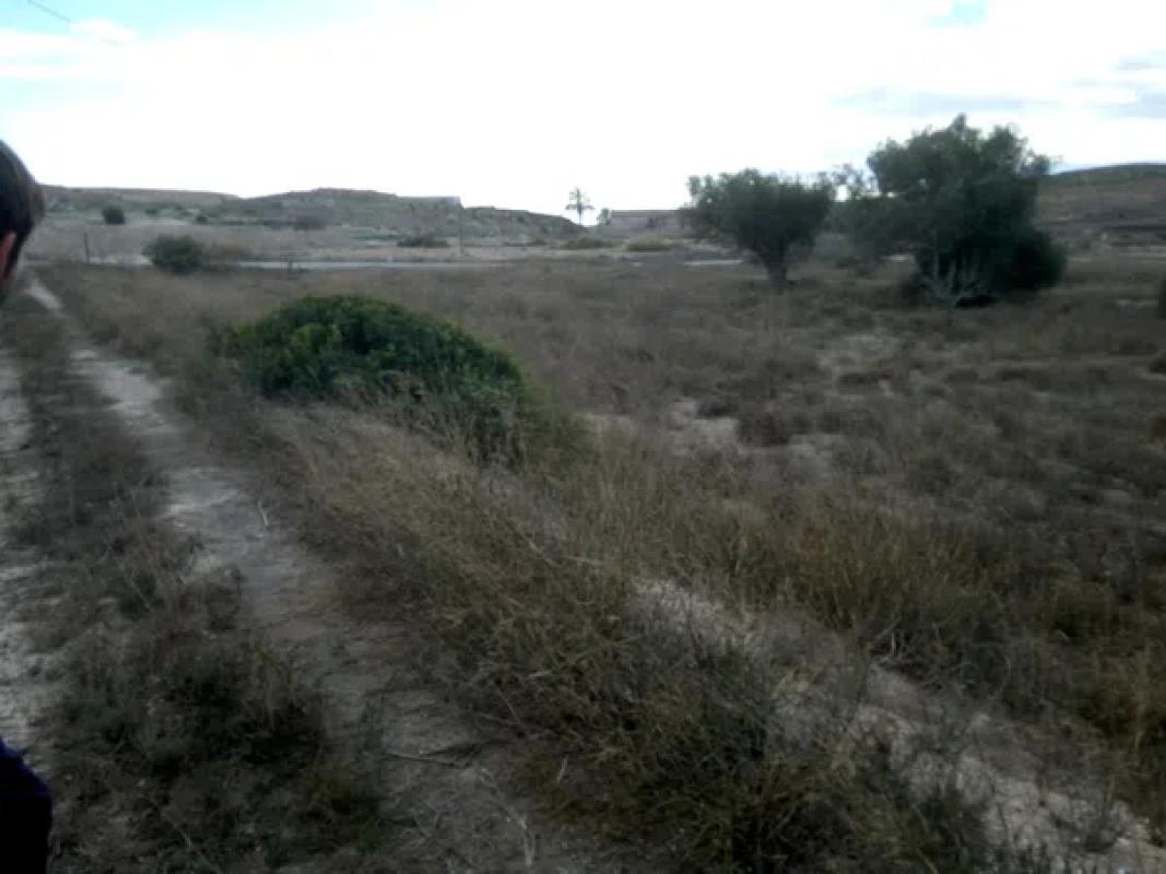 Land for sale in Elche / Elx, Alicante photo 4