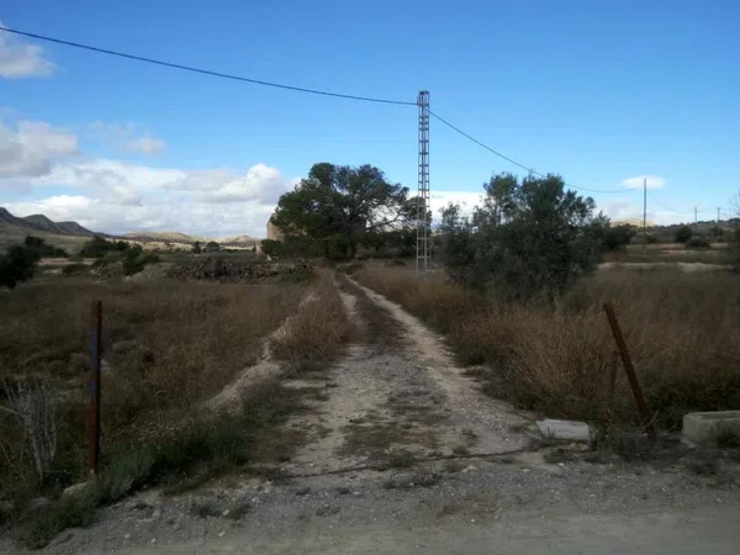 Land for sale in Elche / Elx, Alicante photo 5