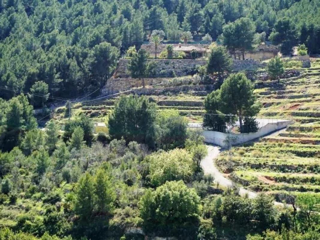Działka na sprzedaż w Callosa d'En Sarria, Alicante photo 2