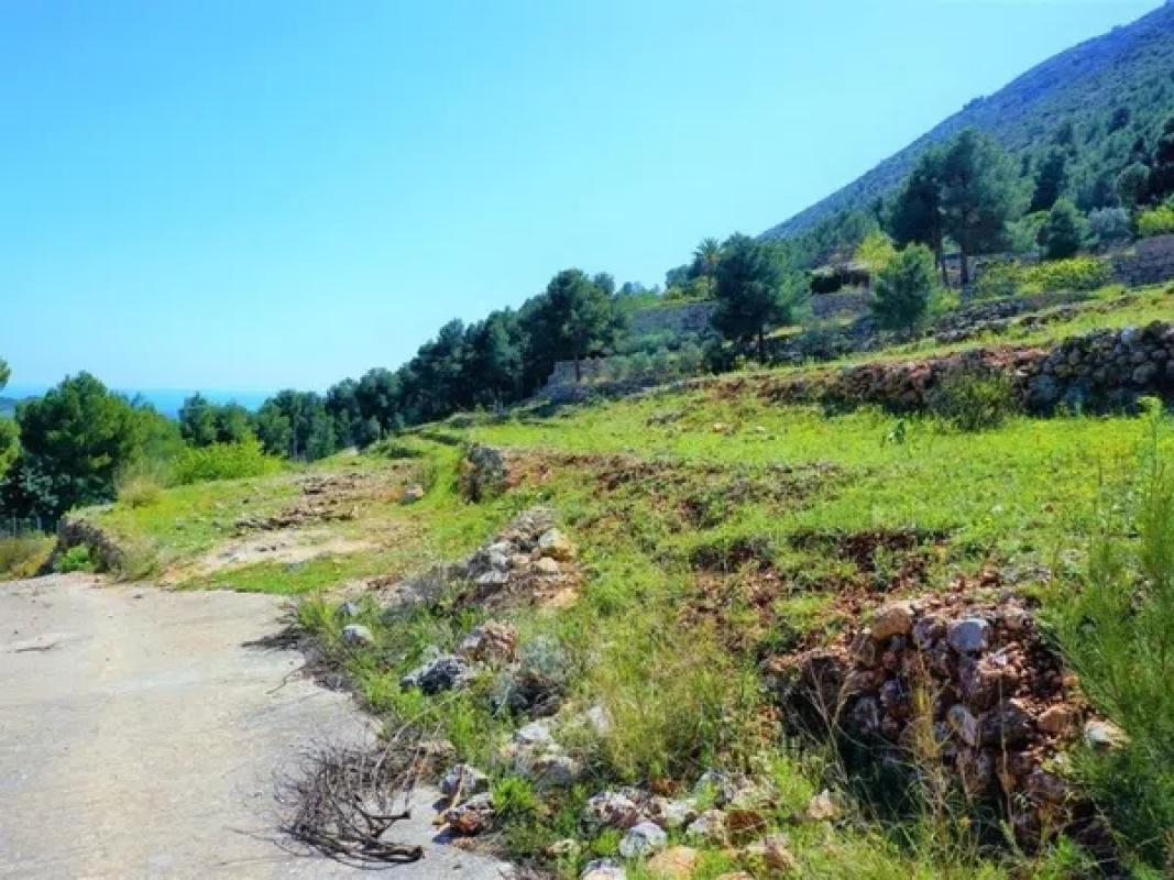 Działka na sprzedaż w Callosa d'En Sarria, Alicante photo 3