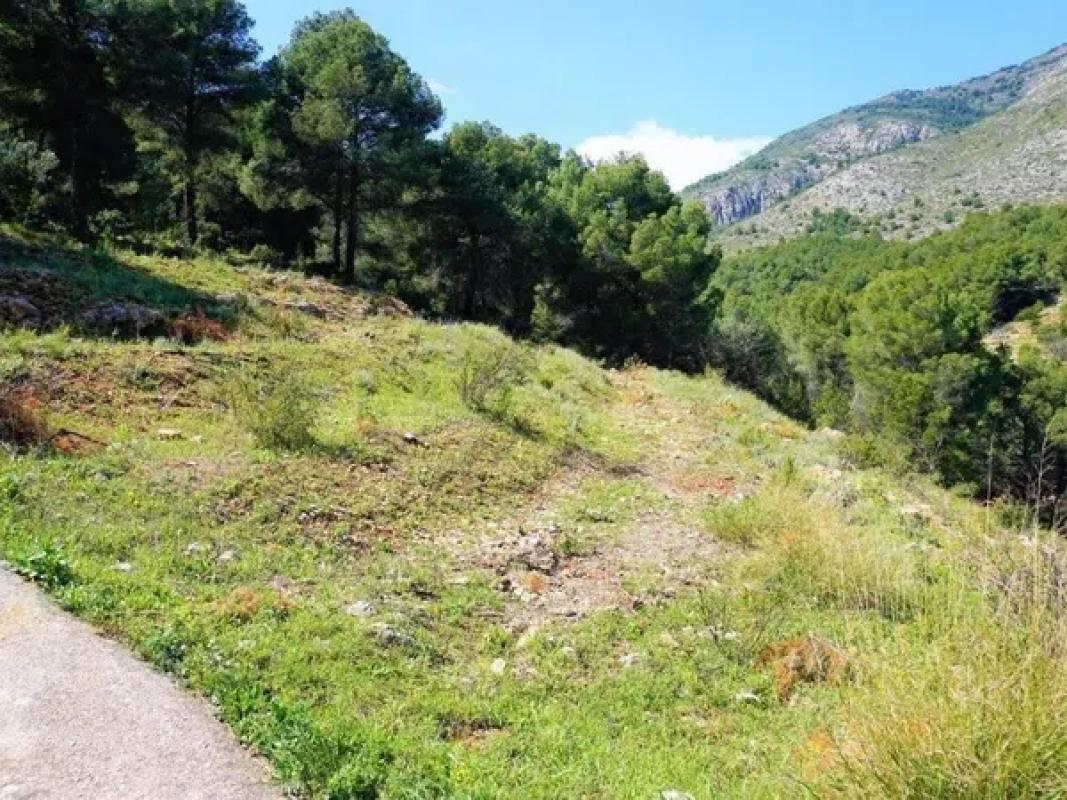 Działka na sprzedaż w Callosa d'En Sarria, Alicante photo 4
