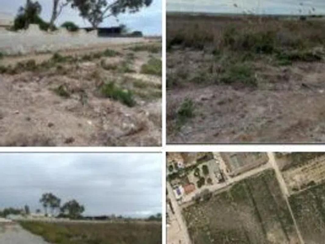 Terreno en venta en Elche / Elx, Alicante photo 1