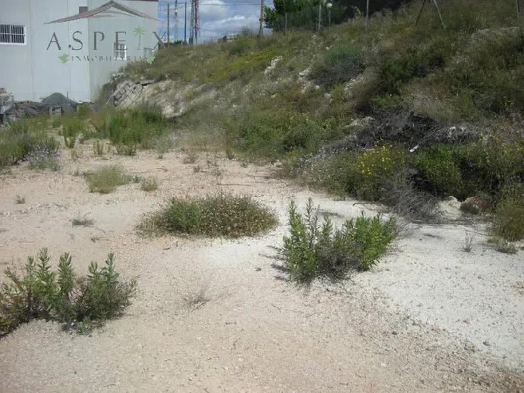 Terreno en venta en Novelda, Alicante photo 1