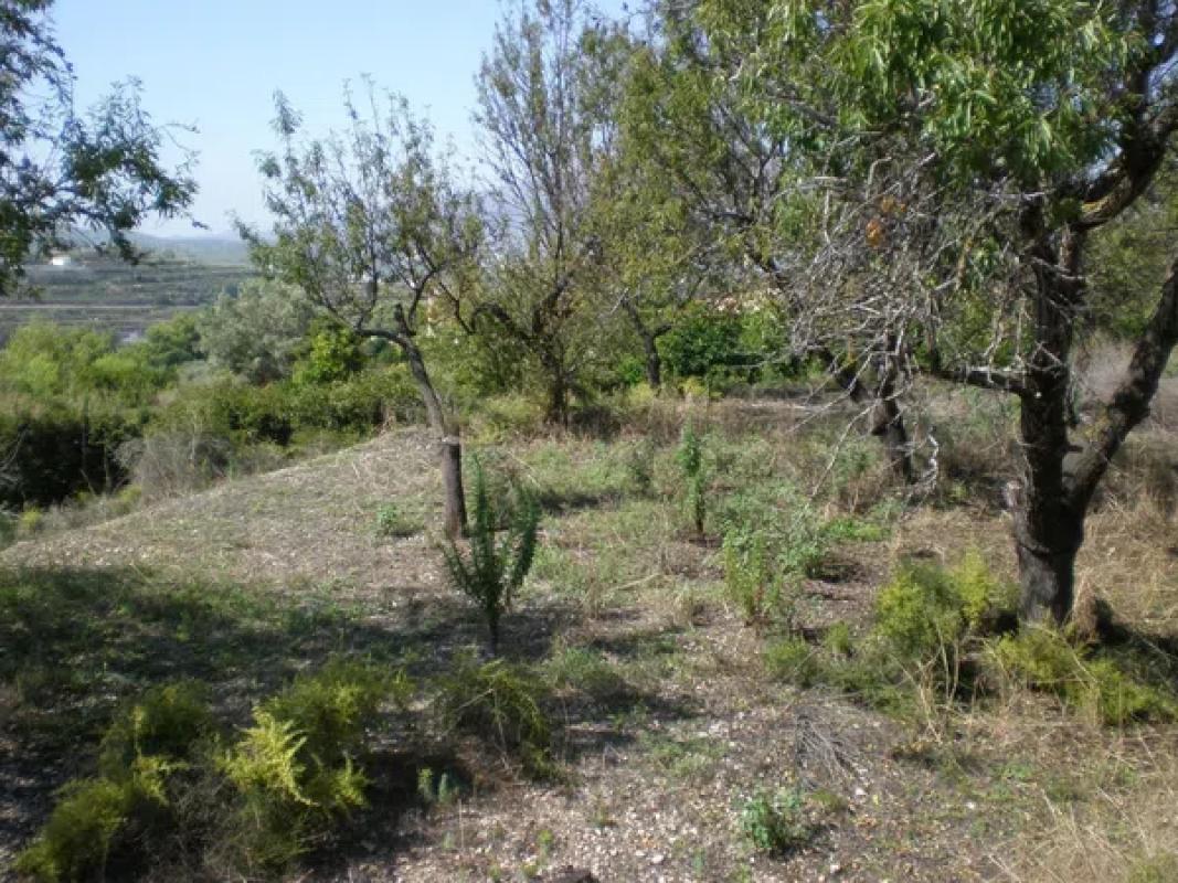 Działka na sprzedaż w Benitachell, Alicante photo 5