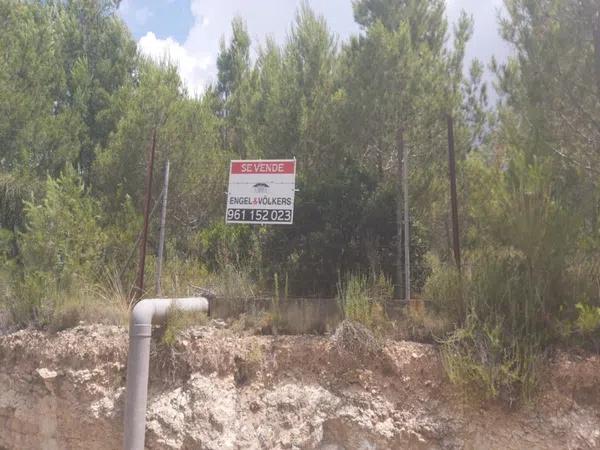 Terreno en camino del Planet photo 2