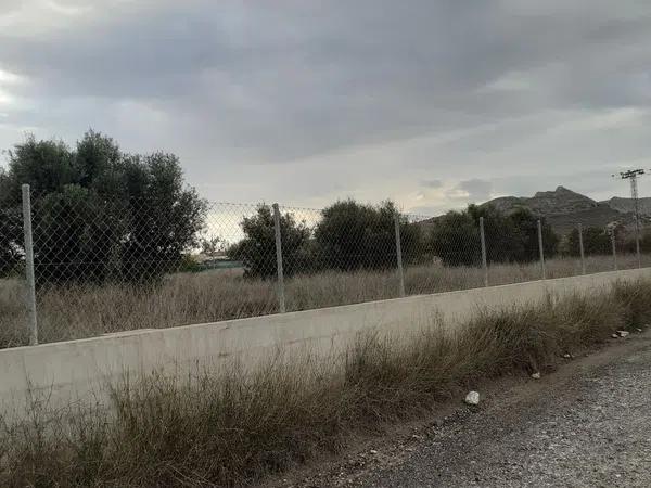 Terreno en camino de la Meca (La Cañada), 124 thumbnail 2