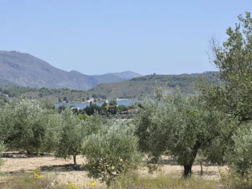 Terreno en venta en Planes, Alicante photo 3