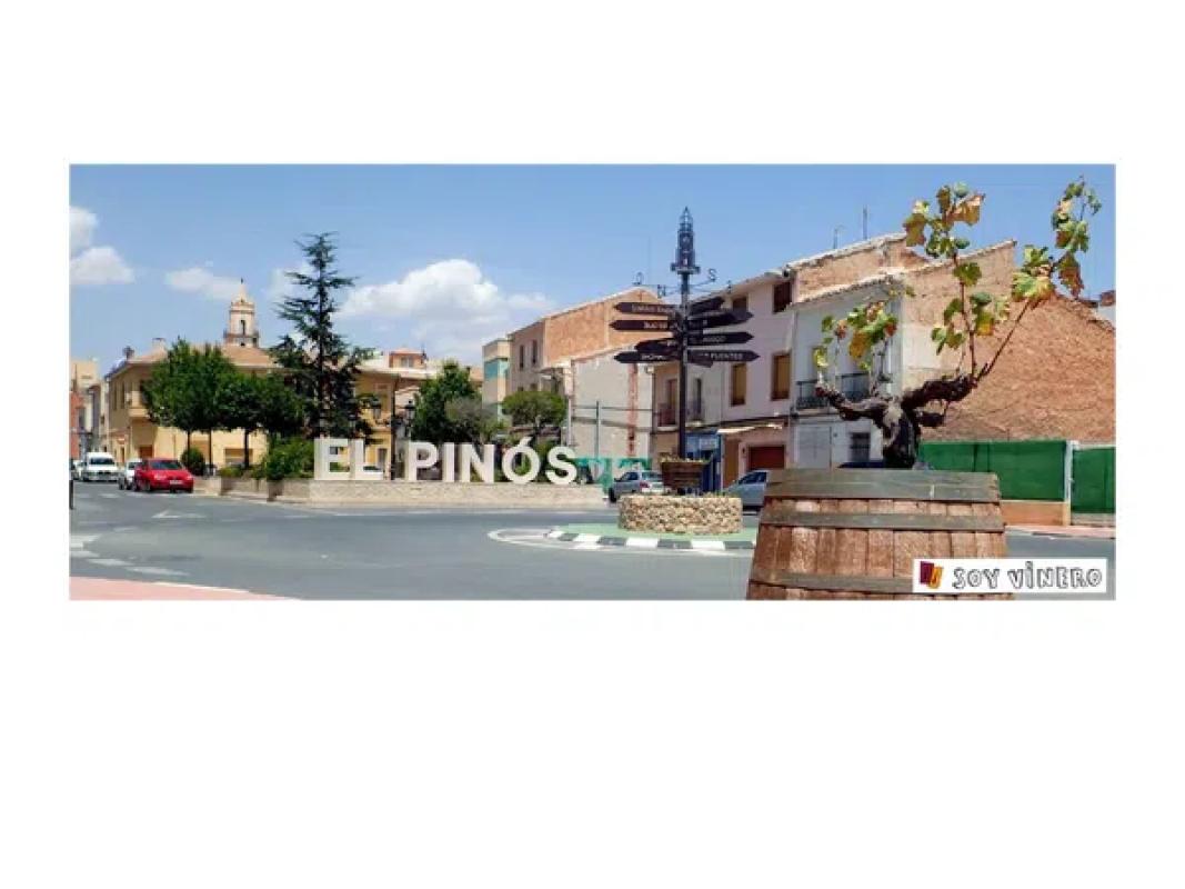Działka na sprzedaż w Pinoso, Alicante photo 5