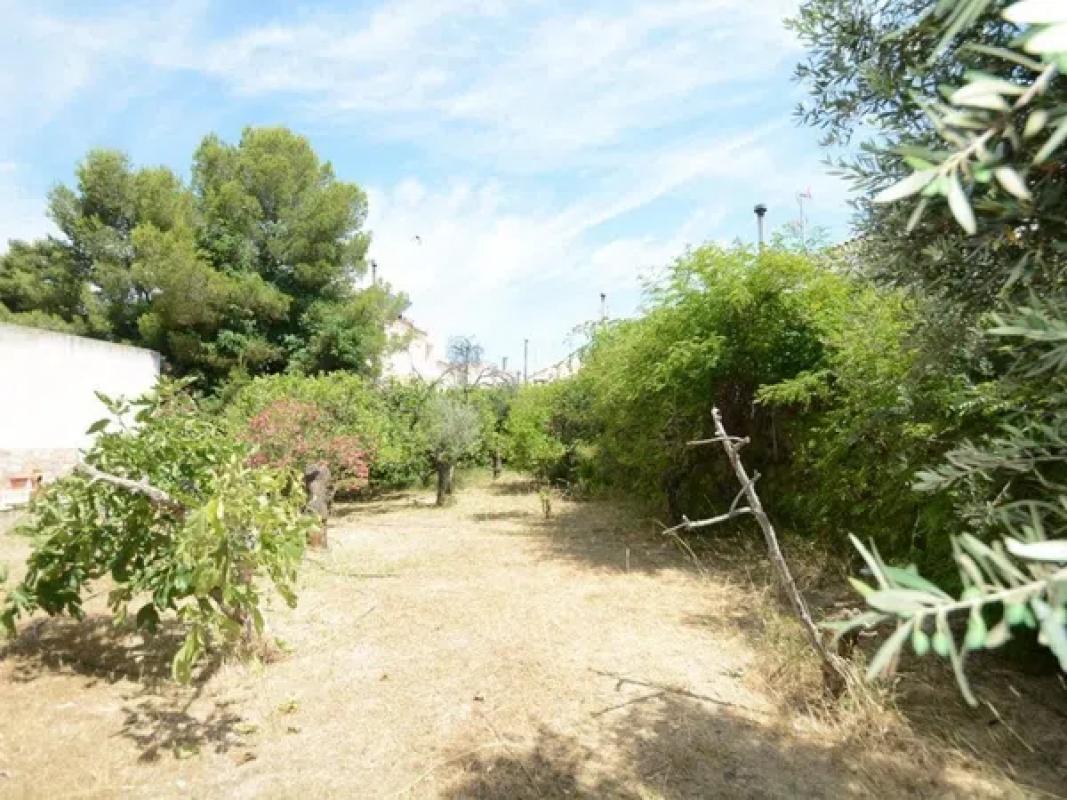 Terreno en venta en Orihuela, Alicante photo 1