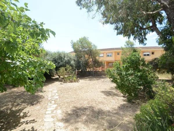 Terreno en La Murada-Los Vicentes photo 3