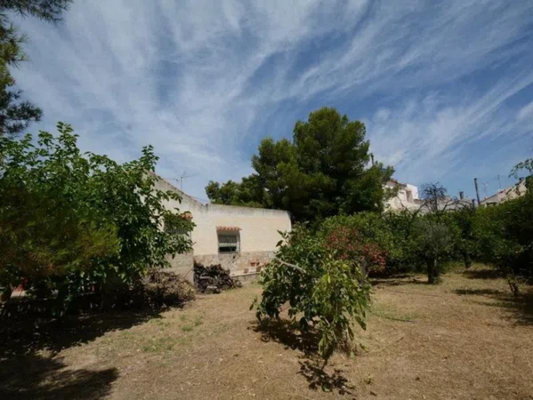 Terreno en venta en Orihuela, Alicante photo 4
