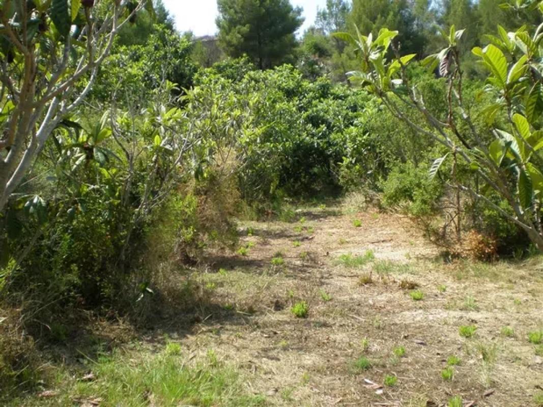 Terreno en venta en Callosa d''En Sarria, Alicante photo 1