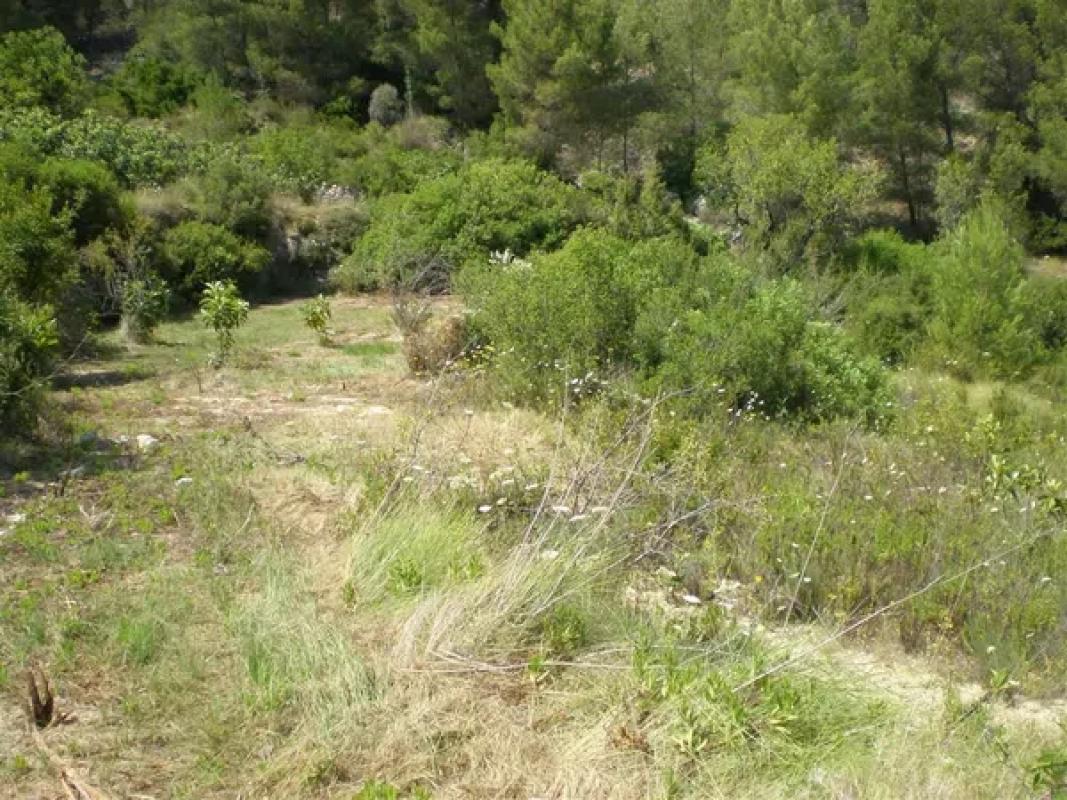 Terreno en venta en Callosa d''En Sarria, Alicante photo 4