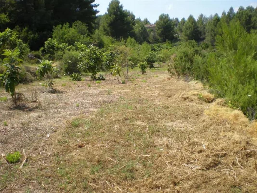 Terreno en venta en Callosa d''En Sarria, Alicante photo 5