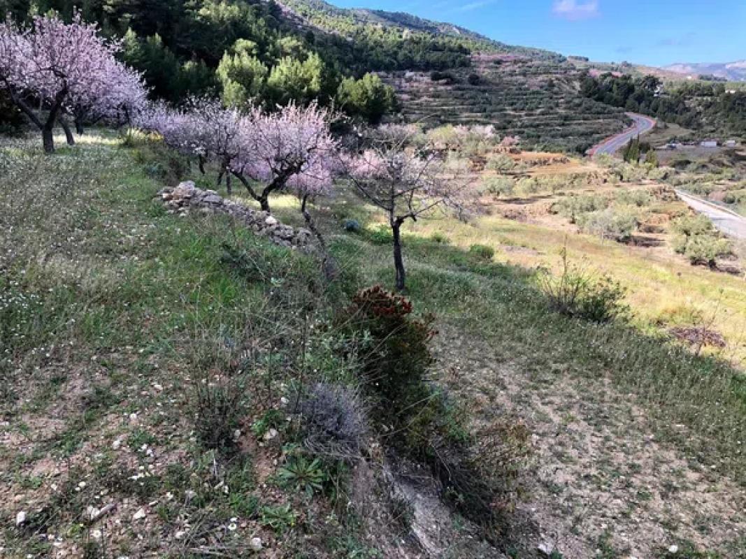 Działka na sprzedaż w Benimantell, Alicante photo 5