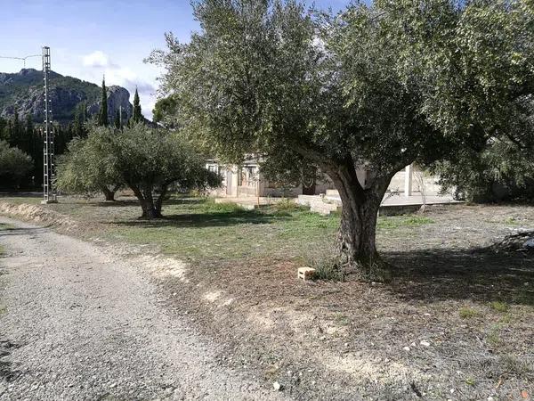 Terreno en El Pinar, 77 thumbnail 2