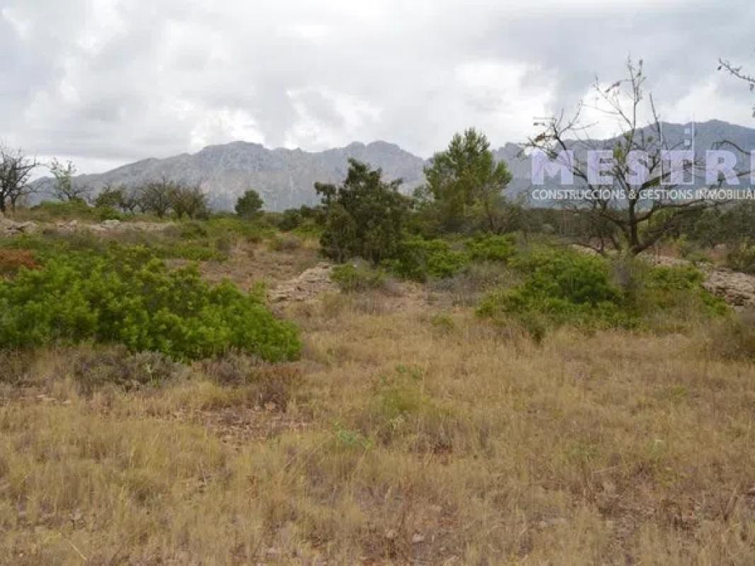 Land for sale in Llíber, Alicante photo 1