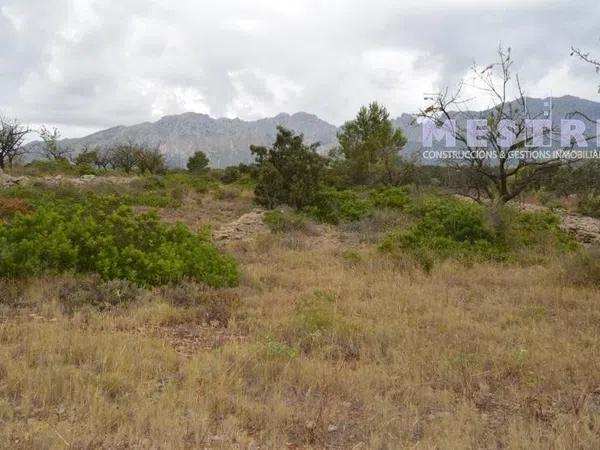 Terreno en Llíber photo 1