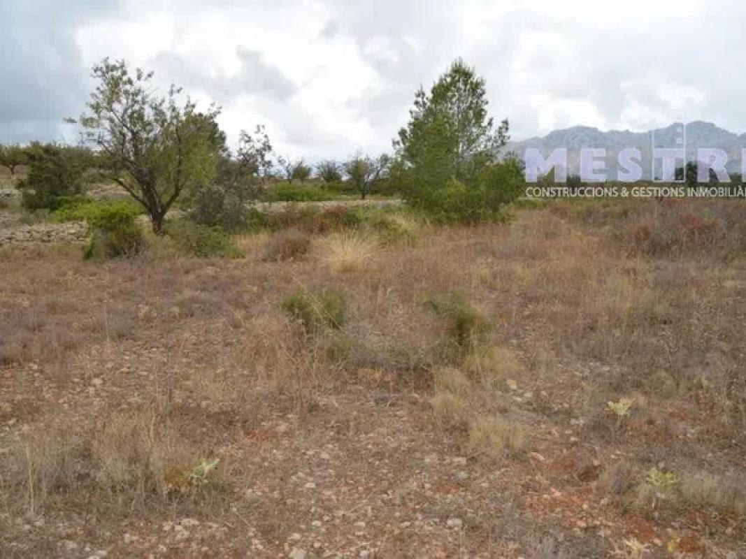 Land for sale in Llíber, Alicante photo 2