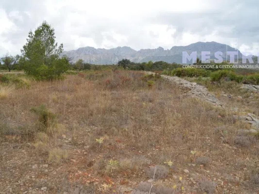 Land for sale in Llíber, Alicante photo 3