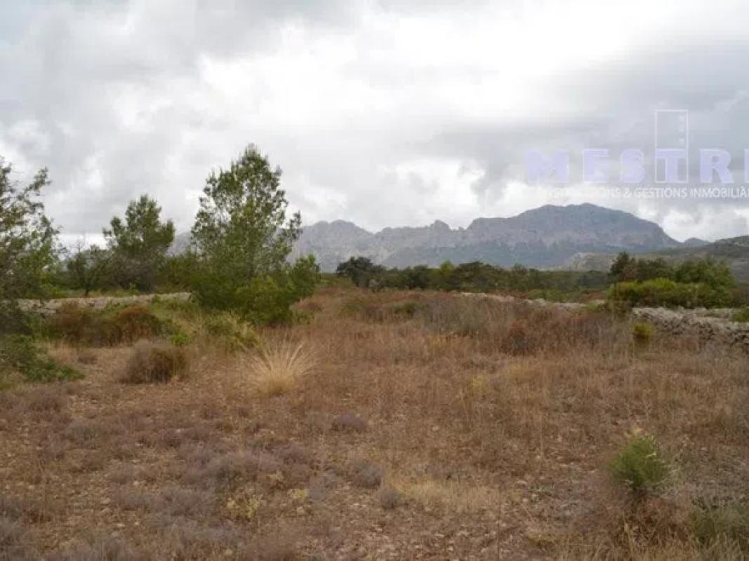 Land for sale in Llíber, Alicante photo 4