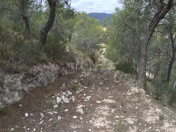 Terreno en Partida Torrosellas photo 3