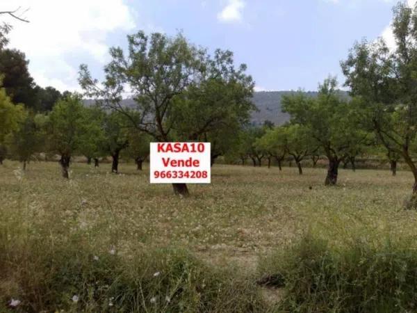 Terreno en calle Sant Josep photo 2