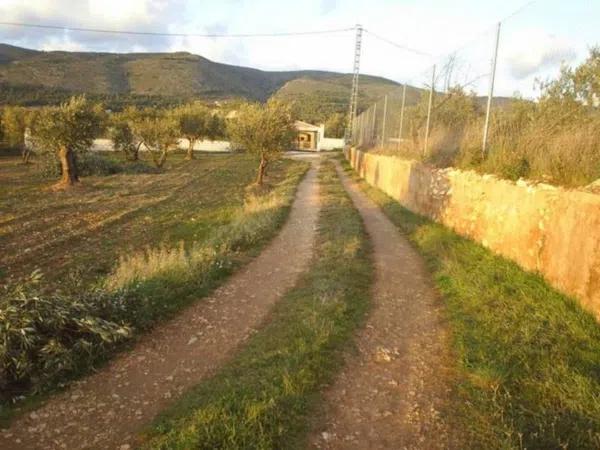 Terreno en Ibi photo 1
