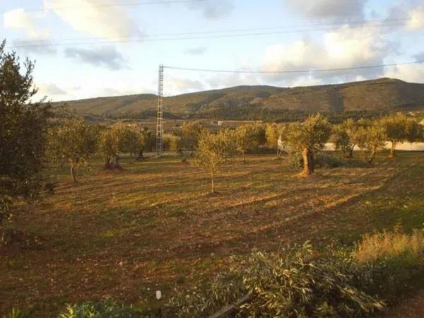 Terreno en Ibi photo 3