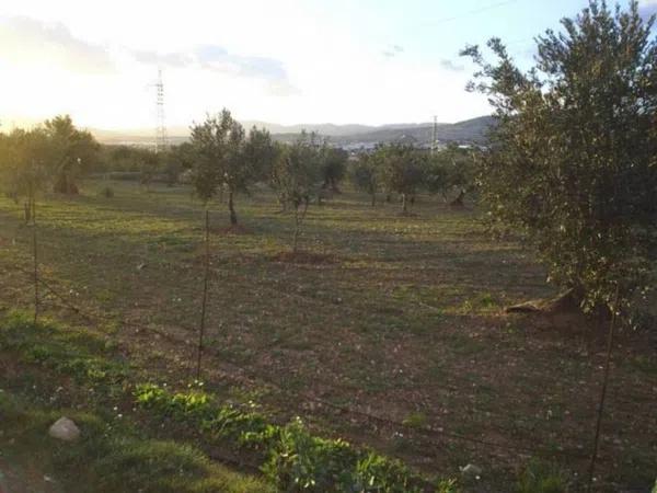 Terreno en Ibi photo 4