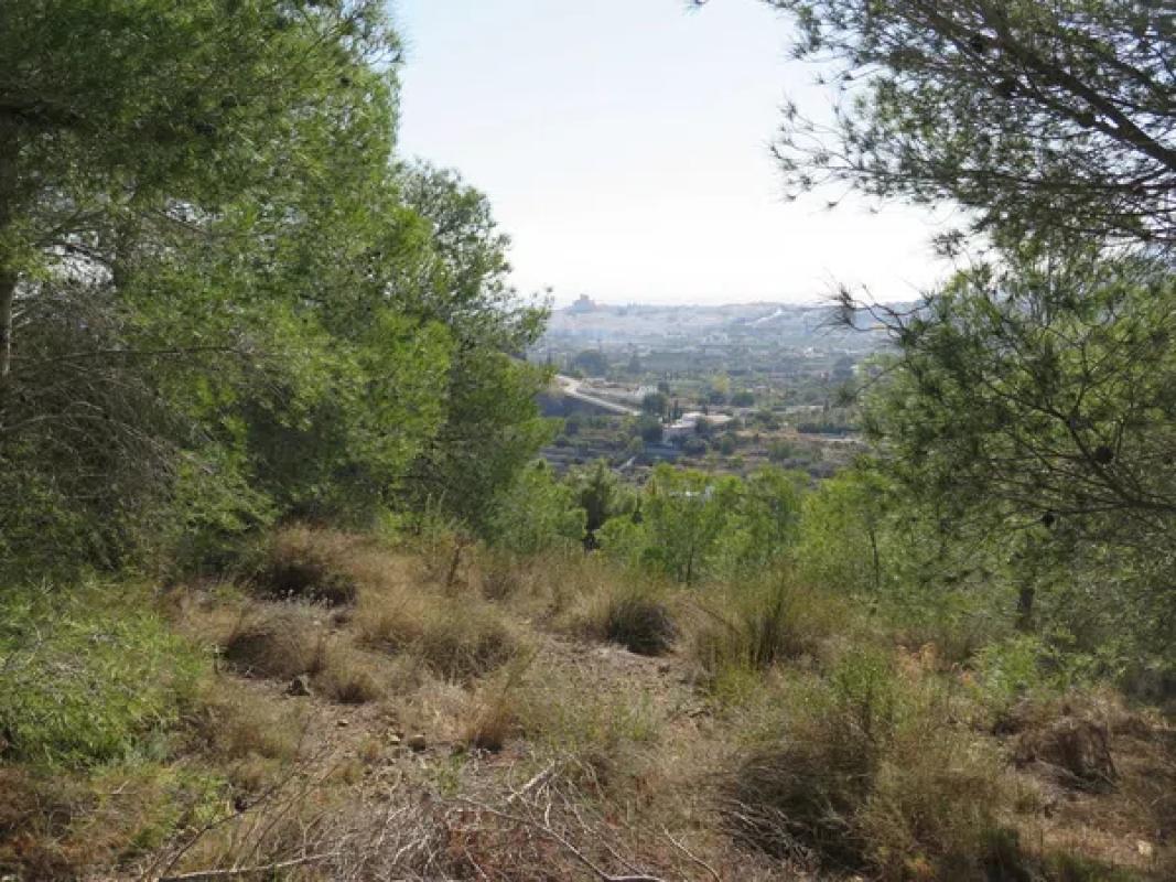 Land for sale in Altea, Alicante photo 5