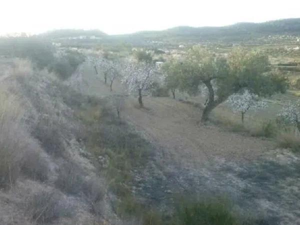 Terreno en Partida Macarava s/n photo 3