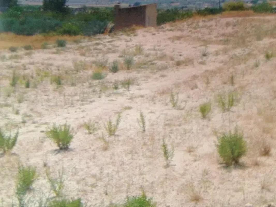 Terreno en venta en Novelda, Alicante photo 2