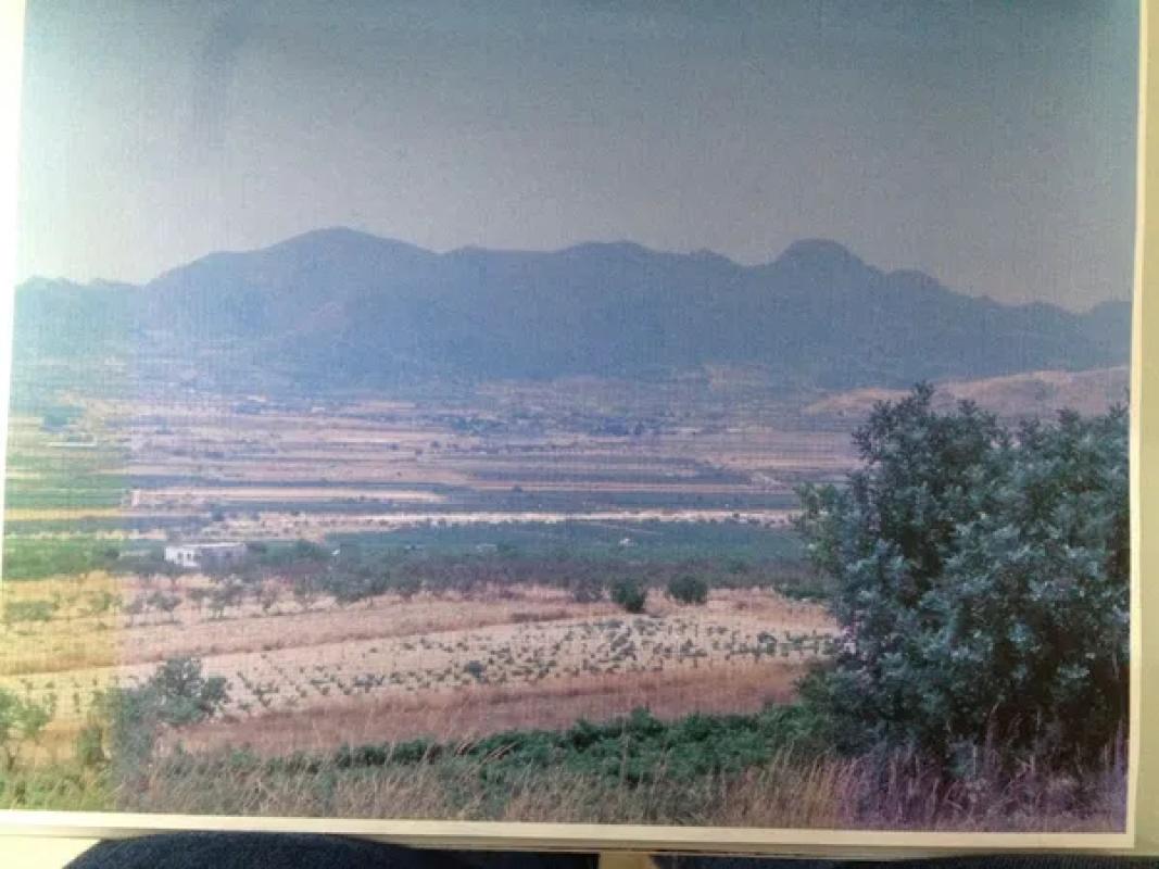 Terreno en venta en Novelda, Alicante photo 4