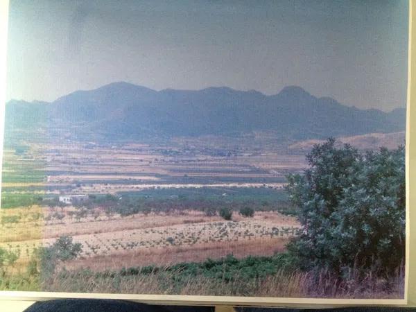 Terreno en acceso novelda s/n photo 4