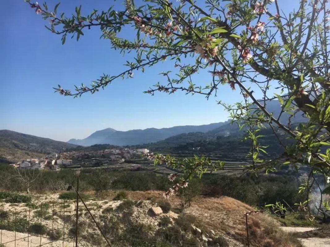 Działka na sprzedaż w Val de Gallinera, Alicante photo 3