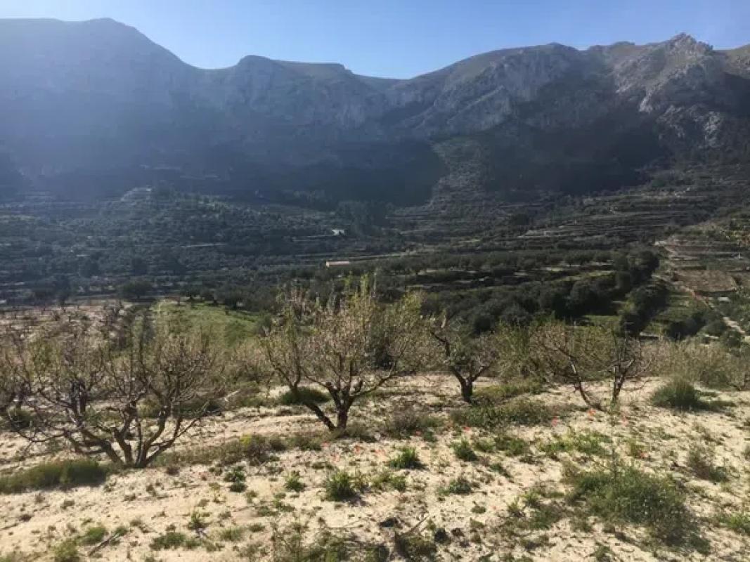 Działka na sprzedaż w Val de Gallinera, Alicante photo 4