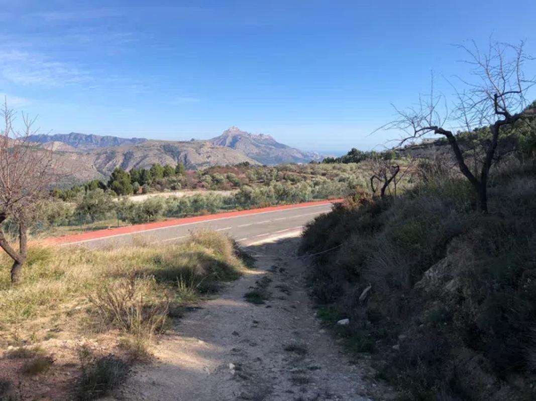 Land for sale in Benimantell, Alicante photo 2