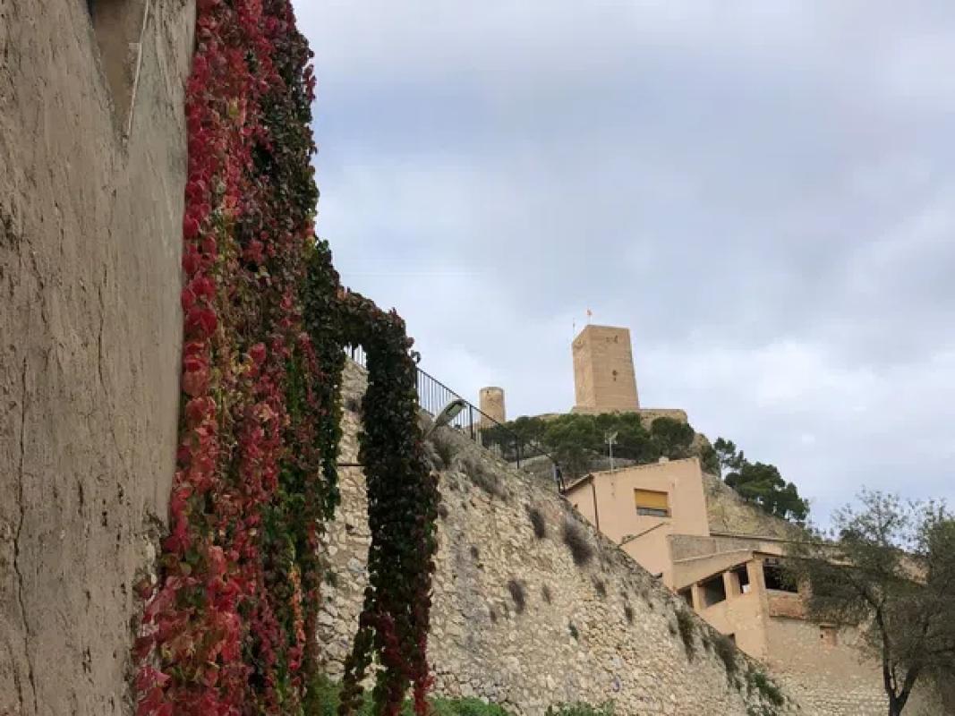 Terreno en venta en Biar, Alicante photo 2
