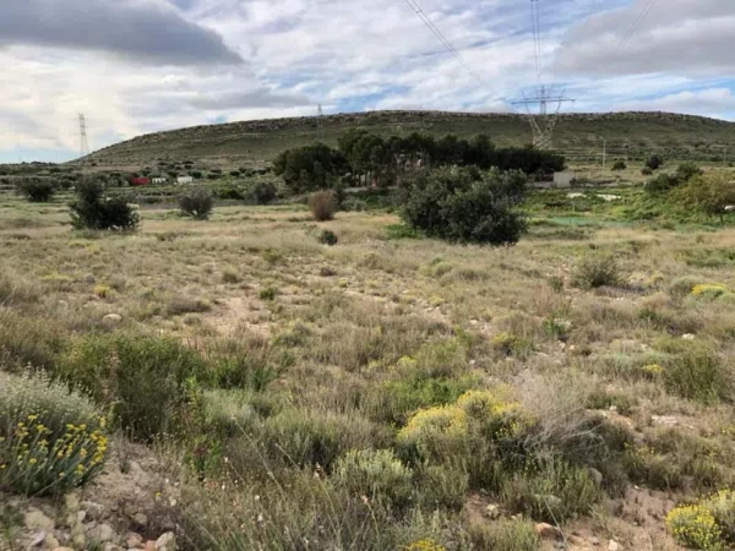 Terreno en venta en Elche / Elx, Alicante photo 4