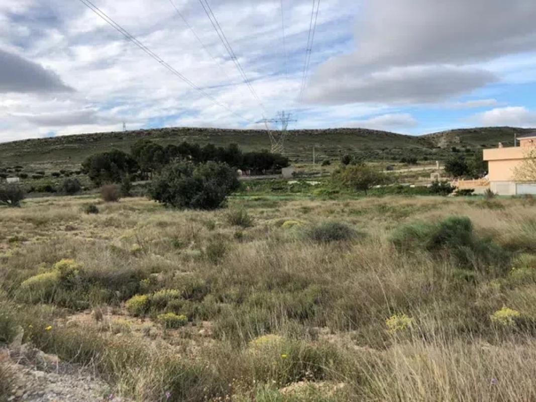 Terreno en venta en Elche / Elx, Alicante photo 5