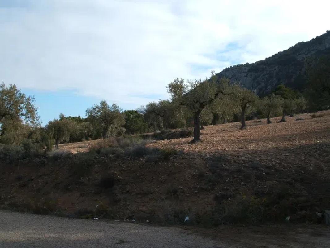 Land for sale in Biar, Alicante photo 1