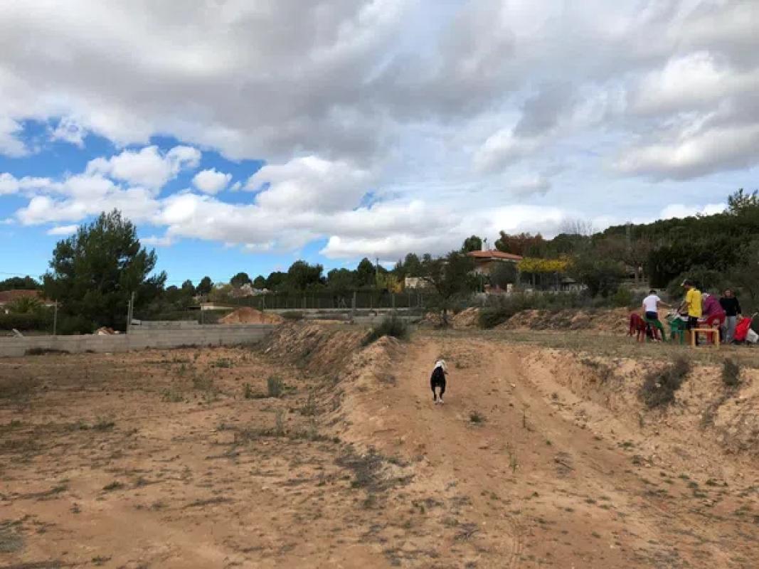 Land for sale in Tibi, Alicante photo 2