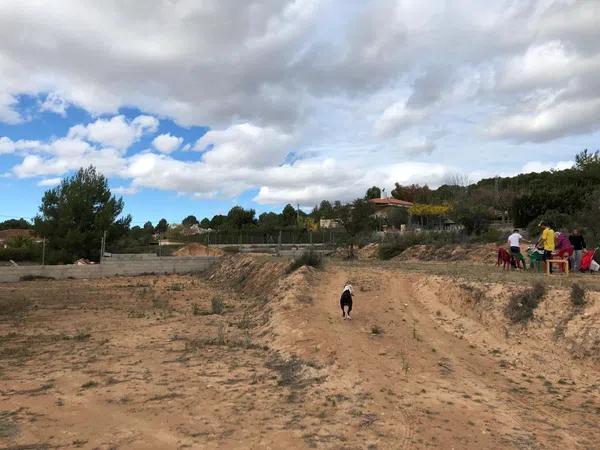 Terreno en calle Finca Terol s/n photo 2
