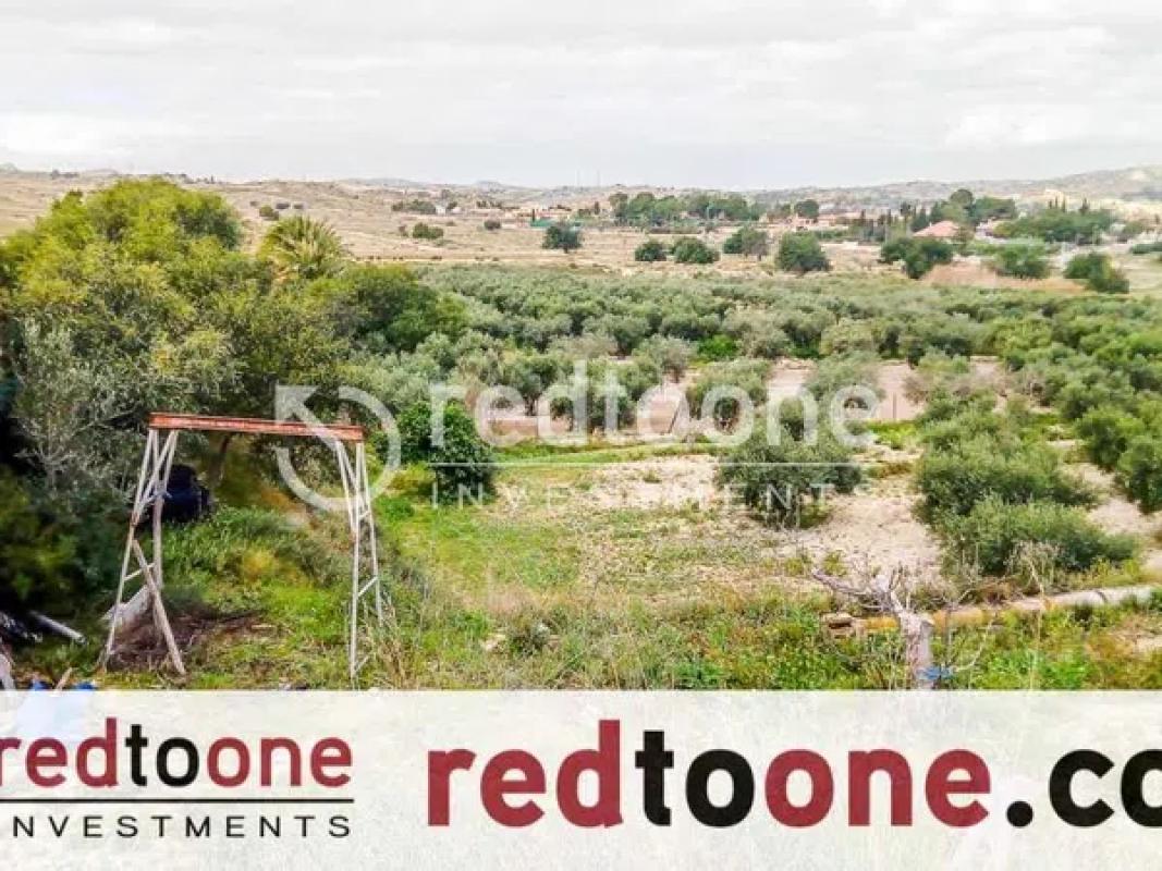 Terreno en venta en Elche / Elx, Alicante photo 4
